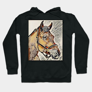 Horse Hoodie